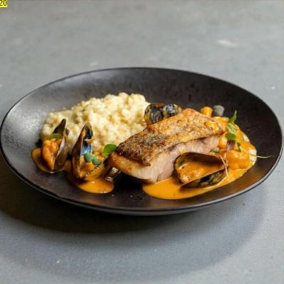 Corvina marinera